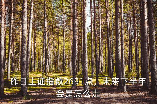 昨日上證指數(shù)2691點，未來下半年會是怎么走