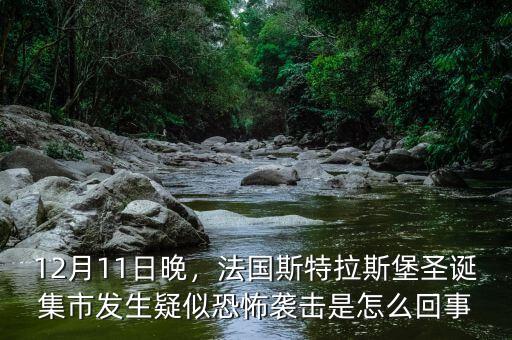 12月11日晚，法國斯特拉斯堡圣誕集市發(fā)生疑似恐怖襲擊是怎么回事