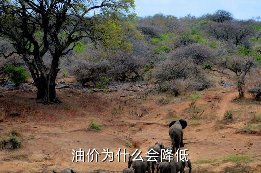 油價(jià)為什么會降低