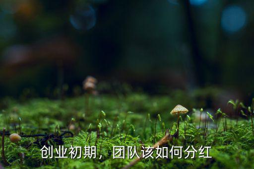 創(chuàng)業(yè)初期，團(tuán)隊(duì)該如何分紅