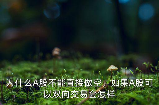 為什么A股不能直接做空，如果A股可以雙向交易會(huì)怎樣