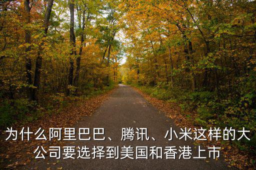 為什么阿里巴巴、騰訊、小米這樣的大公司要選擇到美國和香港上市
