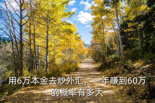 用6萬本金去炒外匯，一年賺到60萬的概率有多大