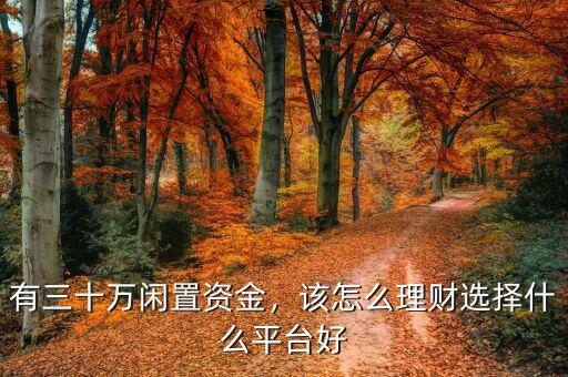 有三十萬閑置資金，該怎么理財選擇什么平臺好