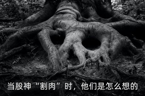 當(dāng)股神“割肉”時(shí)，他們是怎么想的