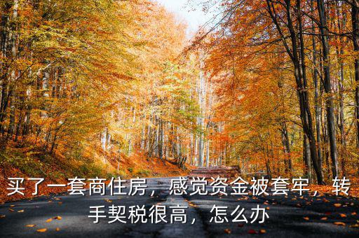 買了一套商住房，感覺資金被套牢，轉(zhuǎn)手契稅很高，怎么辦