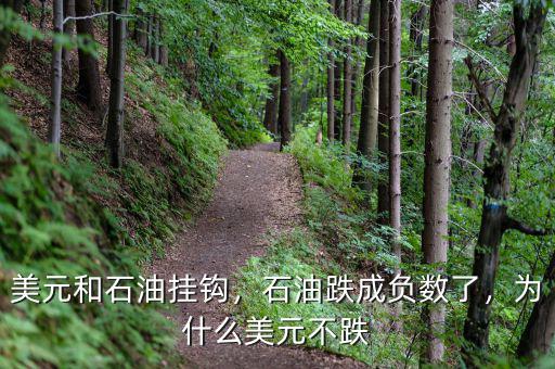 美元和石油掛鉤，石油跌成負(fù)數(shù)了，為什么美元不跌