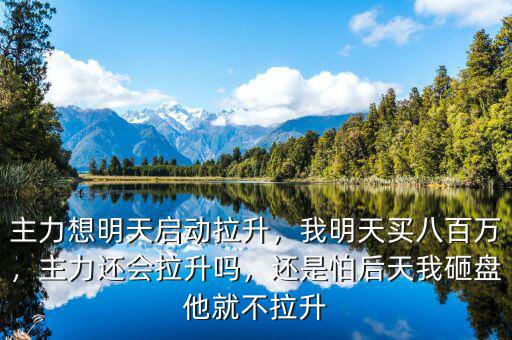 主力想明天啟動(dòng)拉升，我明天買八百萬(wàn)，主力還會(huì)拉升嗎，還是怕后天我砸盤他就不拉升