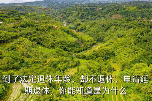 到了法定退休年齡，卻不退休，申請延期退休，你能知道是為什么