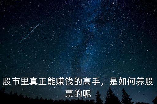 股市里真正能賺錢的高手，是如何養(yǎng)股票的呢
