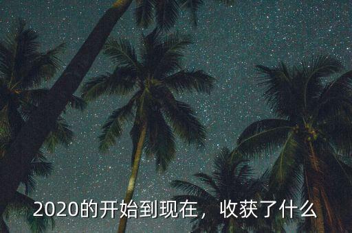 2020的開始到現(xiàn)在，收獲了什么