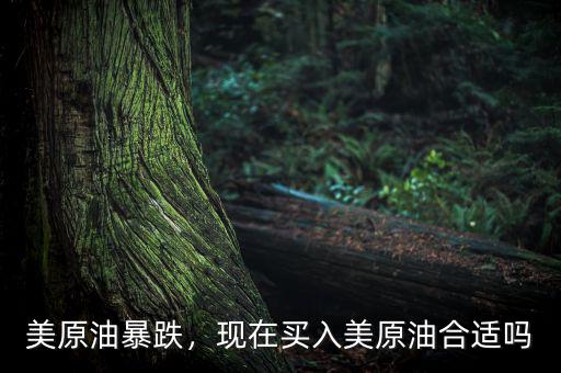 美原油暴跌，現(xiàn)在買入美原油合適嗎