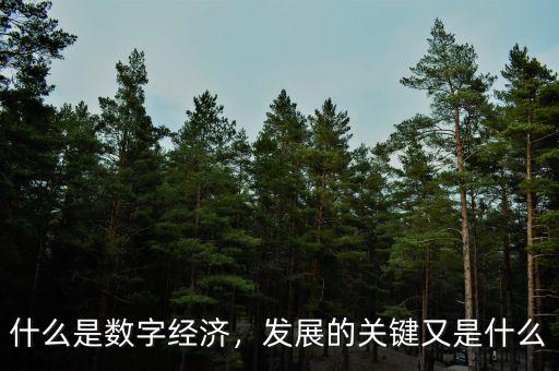 什么是數(shù)字經(jīng)濟，發(fā)展的關(guān)鍵又是什么