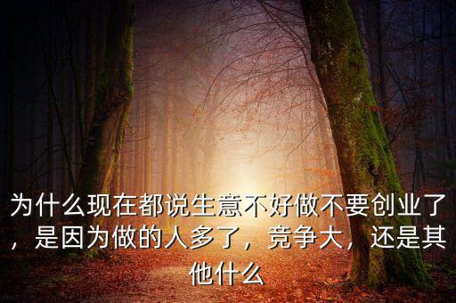 為什么現(xiàn)在都說生意不好做不要創(chuàng)業(yè)了，是因?yàn)樽龅娜硕嗔?，競爭大，還是其他什么