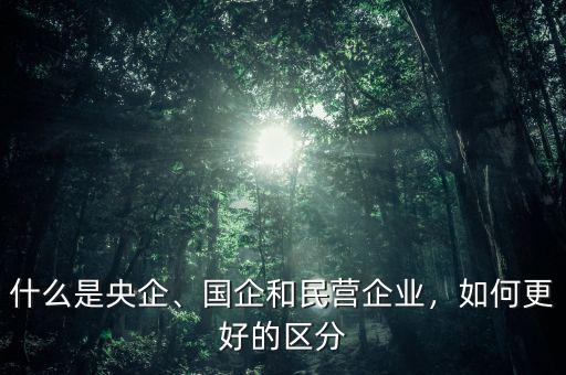 什么是央企、國企和民營企業(yè)，如何更好的區(qū)分
