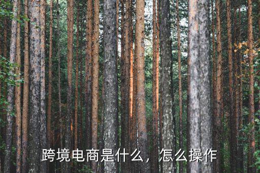 跨境電商是什么，怎么操作