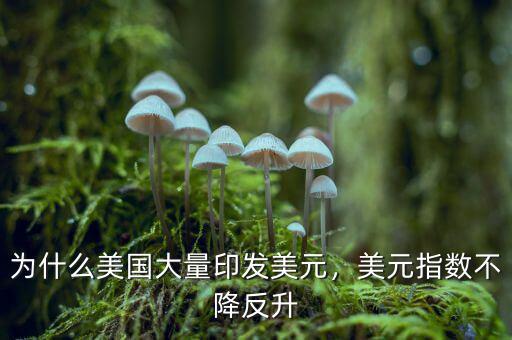 為什么美國(guó)大量印發(fā)美元，美元指數(shù)不降反升