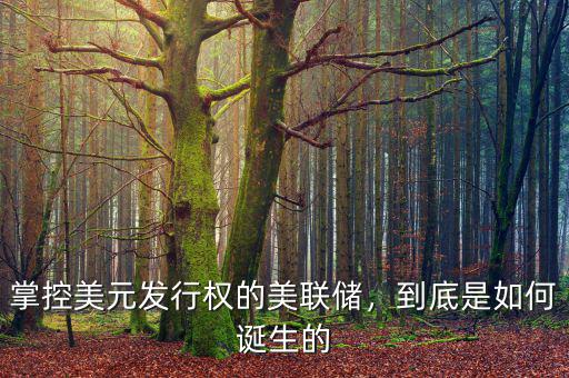 掌控美元發(fā)行權(quán)的美聯(lián)儲，到底是如何誕生的