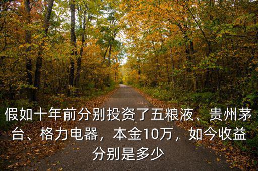 假如十年前分別投資了五糧液、貴州茅臺、格力電器，本金10萬，如今收益分別是多少