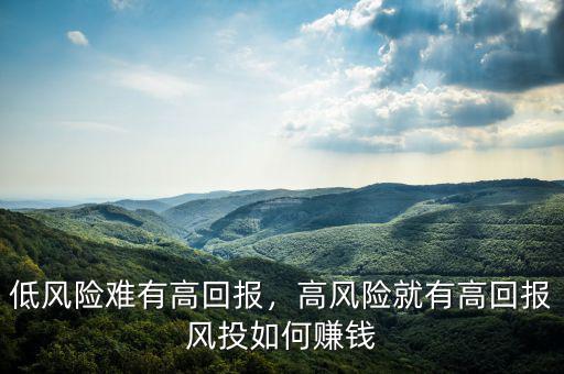 低風險難有高回報，高風險就有高回報風投如何賺錢