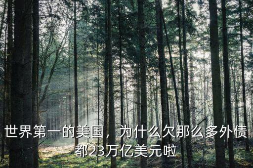 世界第一的美國(guó)，為什么欠那么多外債都23萬(wàn)億美元啦