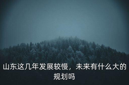 山東這幾年發(fā)展較慢，未來有什么大的規(guī)劃嗎