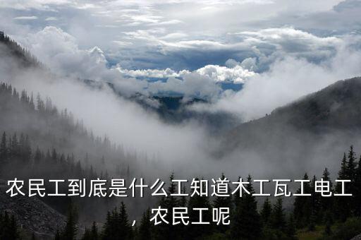 農(nóng)民工到底是什么工知道木工瓦工電工，農(nóng)民工呢