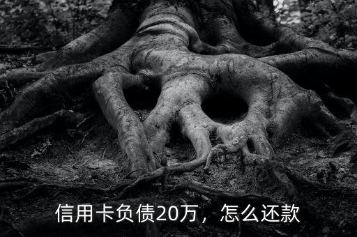 信用卡負(fù)債20萬，怎么還款