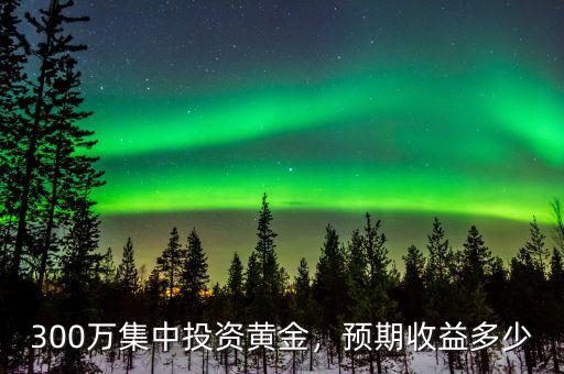 300萬集中投資黃金，預期收益多少