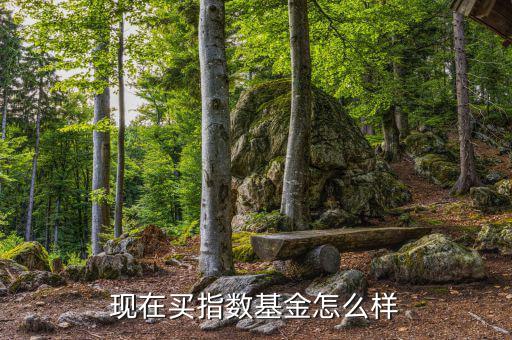 001728基金怎么樣,現(xiàn)在買指數基金怎么樣