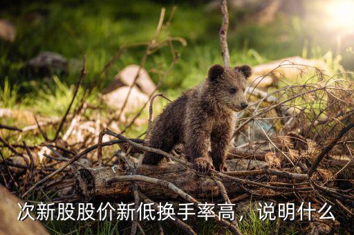 次新股股價新低換手率高，說明什么