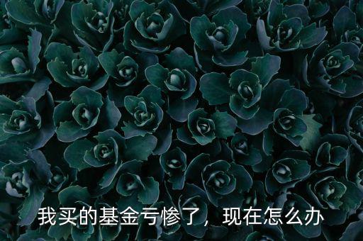 我買(mǎi)的基金虧慘了，現(xiàn)在怎么辦