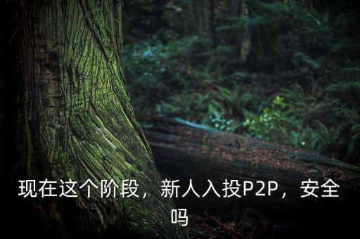 現(xiàn)在這個階段，新人入投P2P，安全嗎