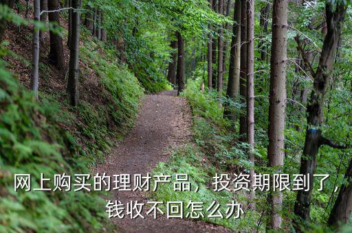 網(wǎng)上購買的理財(cái)產(chǎn)品，投資期限到了，錢收不回怎么辦
