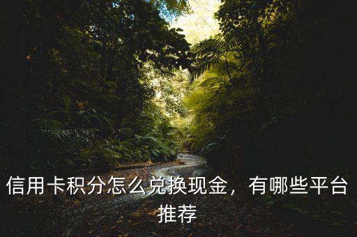 信用卡積分怎么兌換現(xiàn)金，有哪些平臺推薦