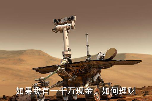 如果我有一千萬現(xiàn)金，如何理財