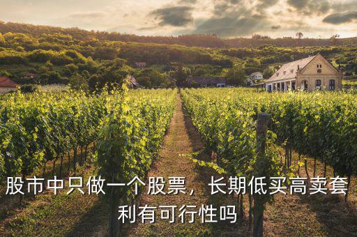 股市中只做一個股票，長期低買高賣套利有可行性嗎