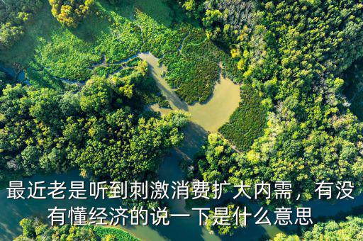 最近老是聽(tīng)到刺激消費(fèi)擴(kuò)大內(nèi)需，有沒(méi)有懂經(jīng)濟(jì)的說(shuō)一下是什么意思