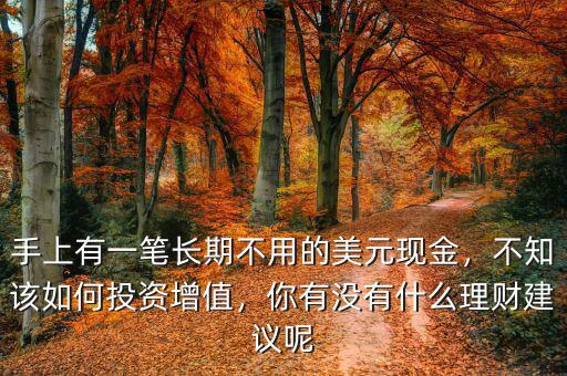 手上有一筆長期不用的美元現(xiàn)金，不知該如何投資增值，你有沒有什么理財建議呢