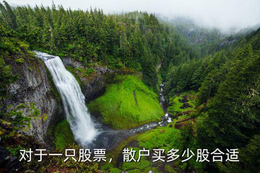 對于一只股票，散戶買多少股合適