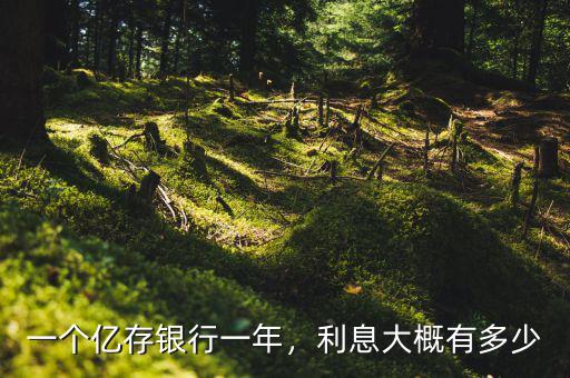 一個(gè)億存銀行一年，利息大概有多少