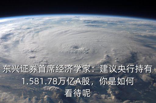 東興證券首席經(jīng)濟(jì)學(xué)家：建議央行持有1.581.78萬億A股，你是如何看待呢