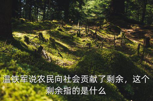 溫鐵軍說農(nóng)民向社會貢獻了剩余，這個剩余指的是什么