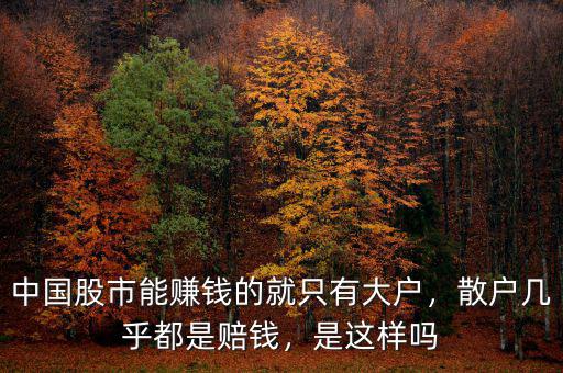 中國股市能賺錢的就只有大戶，散戶幾乎都是賠錢，是這樣嗎