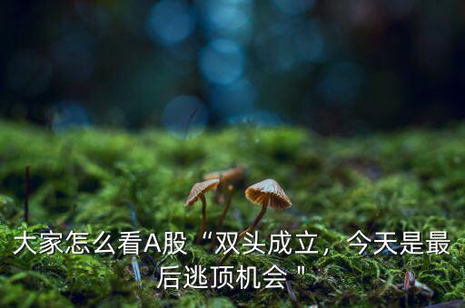 大家怎么看A股“雙頭成立，今天是最后逃頂機會＂