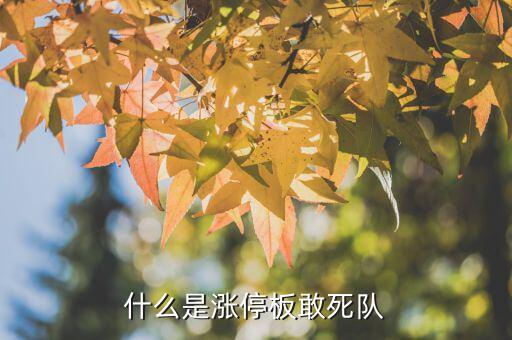 股市敢死隊(duì)是什么,股票市場有哪些敢死隊(duì)