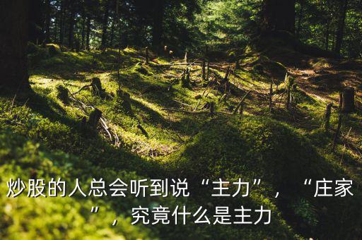 炒股的人總會(huì)聽(tīng)到說(shuō)“主力”，“莊家”，究竟什么是主力