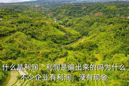 什么是利潤(rùn)，利潤(rùn)是編出來(lái)的嗎為什么不少企業(yè)有利潤(rùn)，沒(méi)有現(xiàn)金