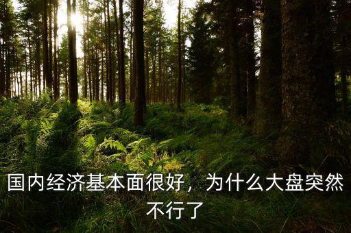國(guó)內(nèi)經(jīng)濟(jì)基本面很好，為什么大盤突然不行了