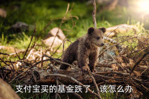 支付寶買的基金跌了，該怎么辦